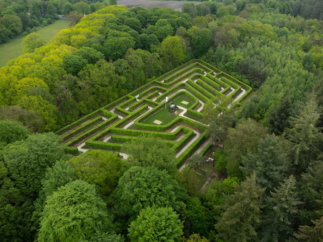 Photo Cornfield maze